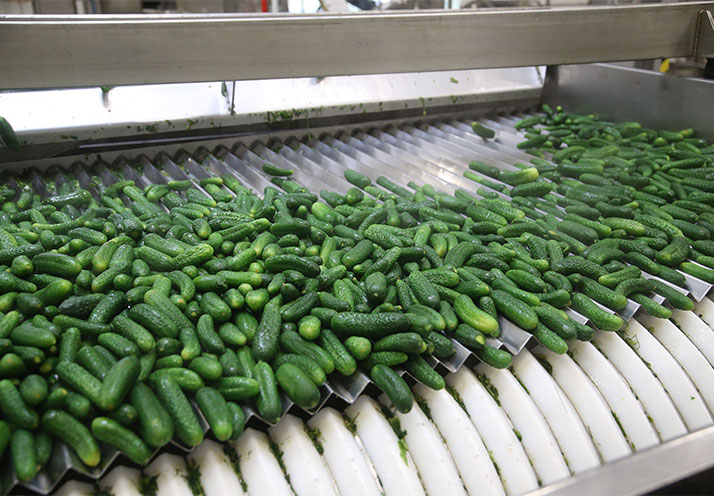 源頭管理、層層把關 