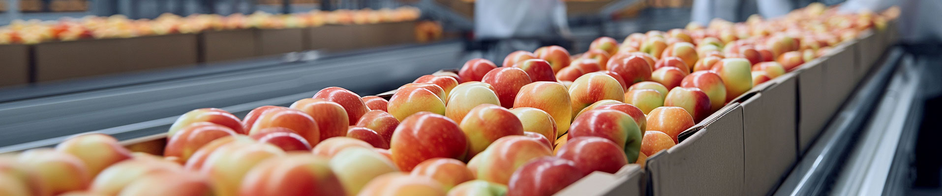 蔬菜加工小知識